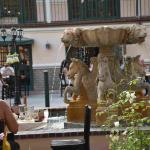 DSC_0050_01 (August 22, 2020)